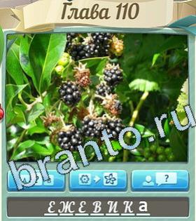 игра Цветик-семицветик відповіді в контакте уровень 110