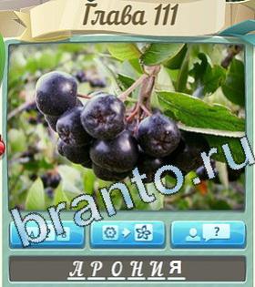 игра Цветик-семицветик відповіді в контакте уровень 111