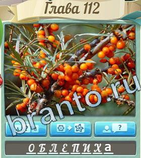 Цветик-семицветик ответ на уровень 112