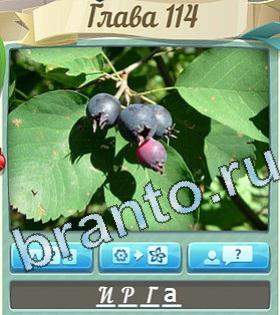 скриншоты с ответами Цветик-семицветик уровень 114