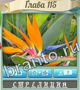 ответы на игру Доктор вконтакте Что уровень 115