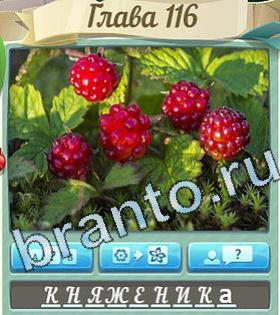 Цветик-семицветик игра решения уровень 116