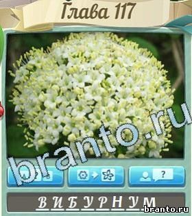 ответы на игру Цветик-семицветик уровень 117
