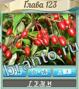 Цветик-семицветик ВК ответ на уровень 123