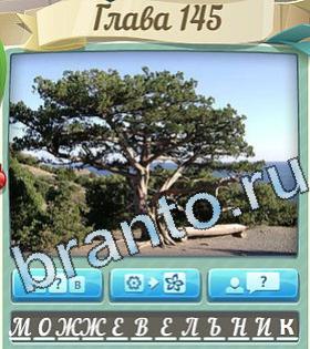 ответы приложение Цветик-семицветик уровень 145