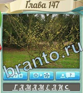 Цветик-семицветик ответы уровень 147 мульт птица со стрелой глазу и в шляпе