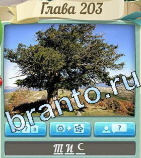 помощь на игру Цветик-семицветик одноклассники уровень 203