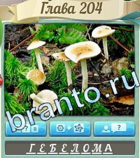 решения на игру Цветик семицветик уровень 204 белый гриб на тонкой ножке 8 букв