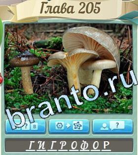 ответы на игру Цветик-семицветик уровень 205