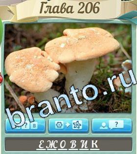 Цветик семицветик ответы вк уровень 206 гриб на толстой ножке 6 букв