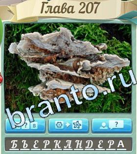 игра Цветик-семицветик подсказки одноклассники уровень 207