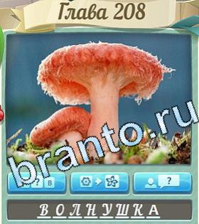 игра Цветик-семицветик помощь ВК уровень 208