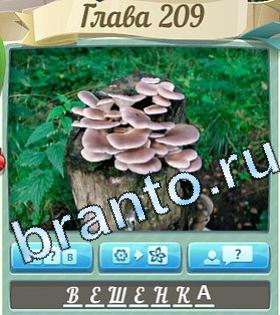 игра Цветик-семицветик решения уровень 209