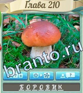 игра Цветик-семицветик відповіді в контакте уровень 210