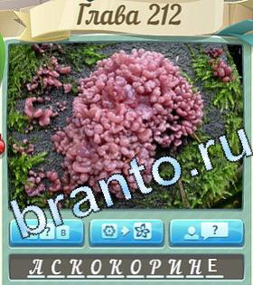 Цветик-семицветик ответ на уровень 212