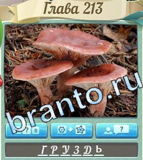 Цветик-семицветик игра ответы вконтакте уровень 213
