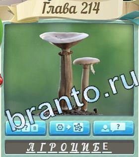 скриншоты с ответами Цветик-семицветик уровень 214