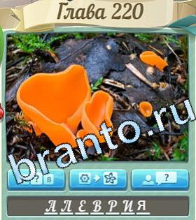 ответы на игру Цветик-семицветик уровень 220