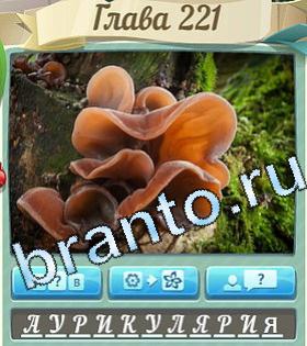 Цветик-семицветик ответ на уровень 221