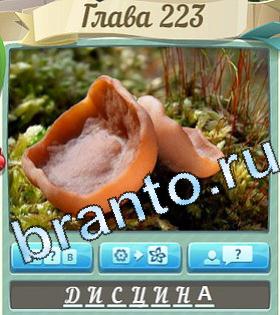 Цветик-семицветик ВК ответ на уровень 223