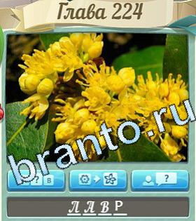 ответы на игру Цветик-семицветик уровень 224