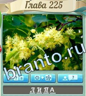 ответы на игру Цветик-семицветик уровень 225