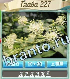 ответы на игру Цветик-семицветик уровень 227