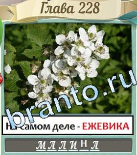 ответы на игру Цветик-семицветик уровень 228