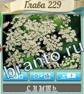 ответы на игру Цветик-семицветик в Одноклассниках уровень 229