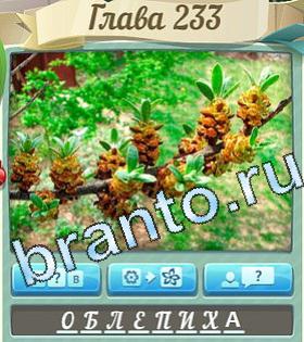 помощь на игру Цветик-семицветик уровень 233