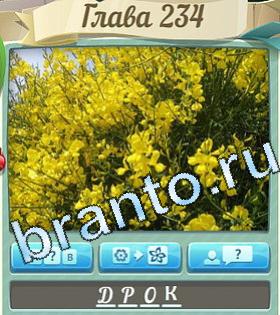 Цветик-семицветик игра ответы уровень 234