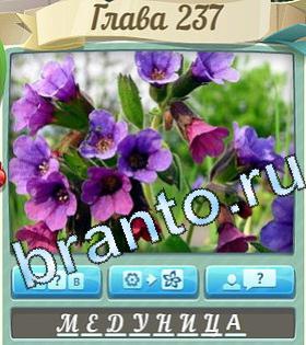 ответы на игру Цветик-семицветик уровень 237