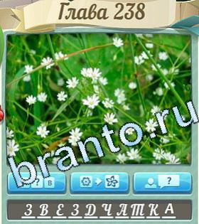 ответы на игру Цветик-семицветик уровень 238