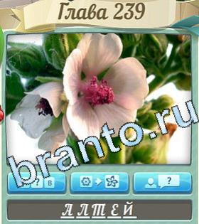 Цветик-семицветик ответ на уровень 239