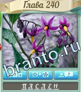 Цветик-семицветик ответ на уровень 240