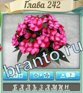 ответы Цветик-семицветик уровень 242