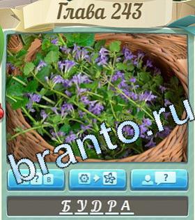 ответы на игру Цветик-семицветик уровень 243