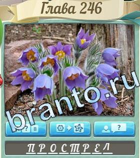 ответы на игру Цветик-семицветик уровень 246