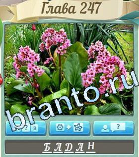 Цветик-семицветик ответы уровень 247 мульт птица со стрелой глазу и в шляпе
