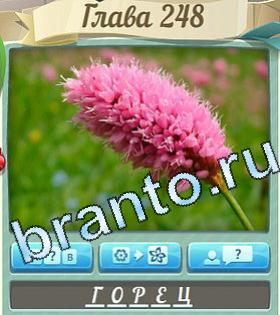 ответы на игру Цветик-семицветик уровень 248