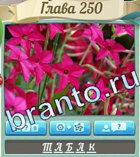 подсказки на игру Цветик-семицветик уровень 250