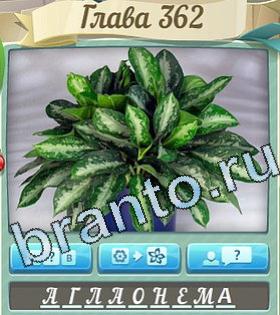 Цветик-семицветик ответ на уровень 362