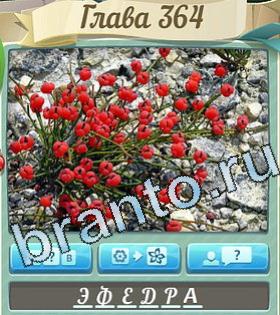 скриншоты с ответами Цветик-семицветик уровень 364