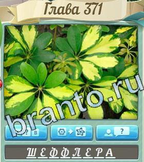 Цветик-семицветик ответ на уровень 371