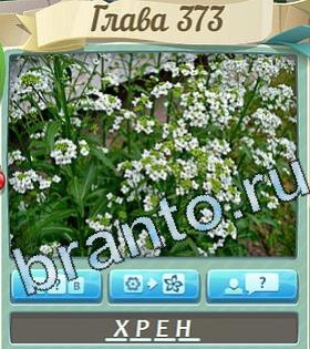 Цветик-семицветик ВК ответ на уровень 373