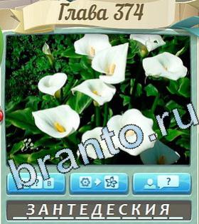 ответы на игру Цветик-семицветик уровень 374