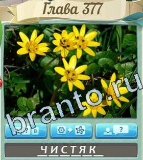 ответы на игру Цветик-семицветик уровень 377