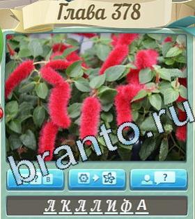 ответы на игру Цветик-семицветик уровень 378