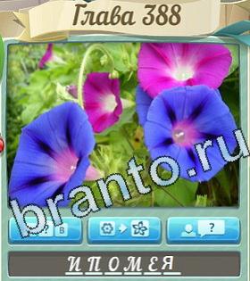 ответы на игру Цветик-семицветик уровень 388