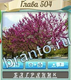 решения на игру Цветик-семицветик вконтакте уровень 504
